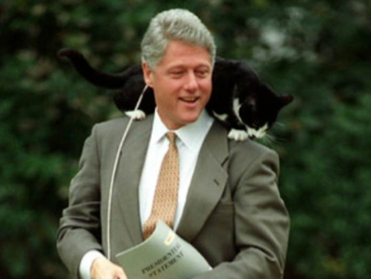 Il gattino del presidente