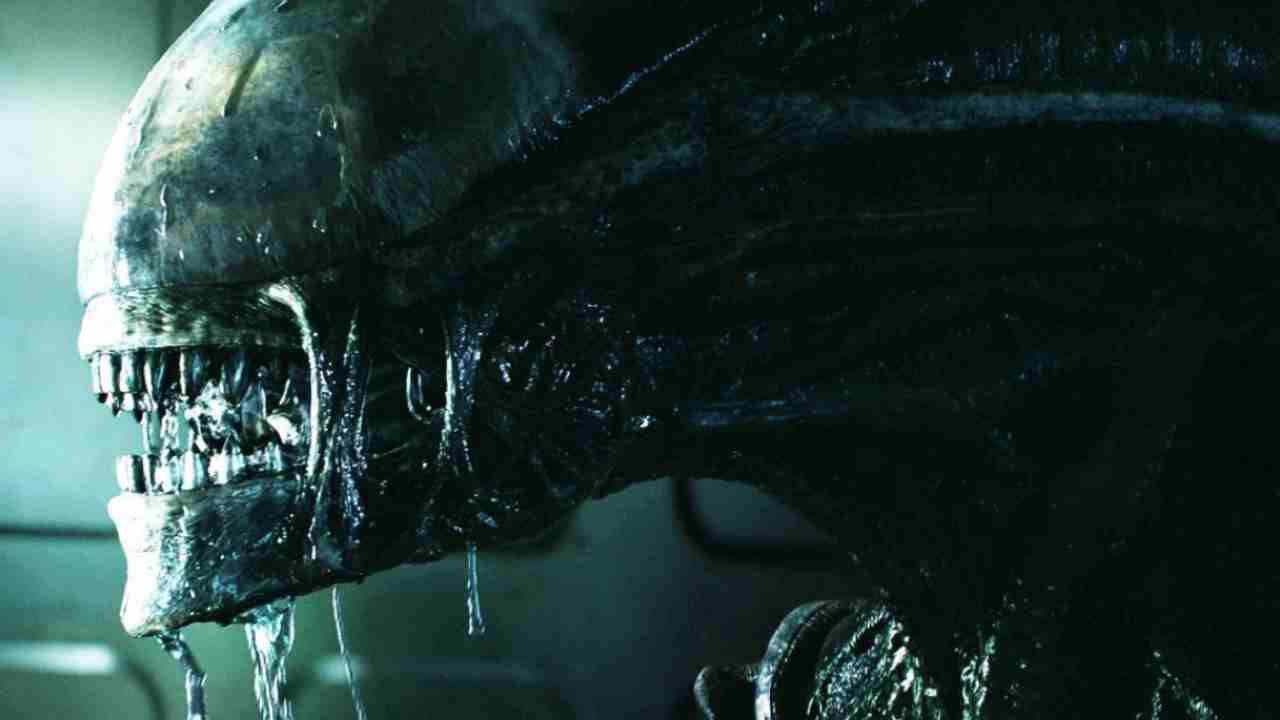 Alien (web source) 1.11.2022 picenosera